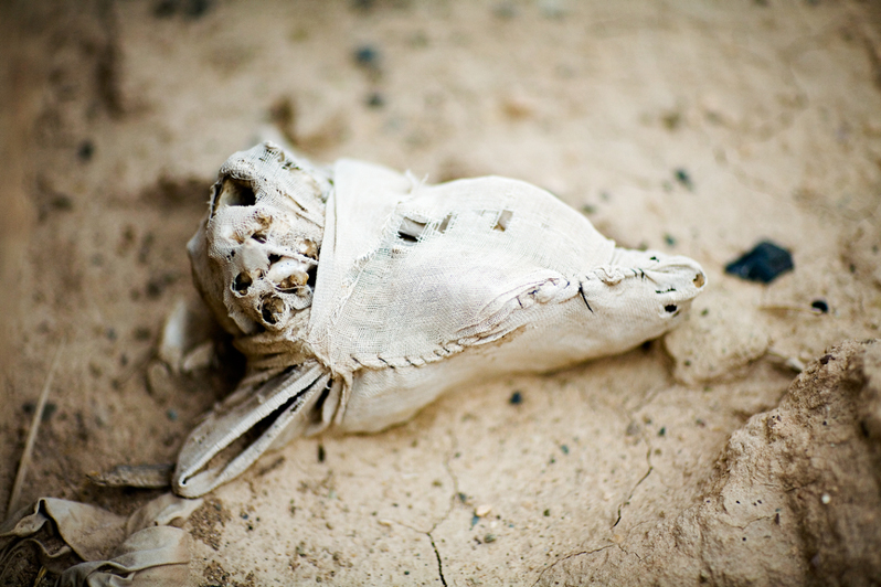 Goat Head in Muslin, 2009